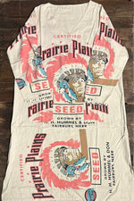 Load image into Gallery viewer, Weekend Mercantile Long Sleeve Dress - Prairie