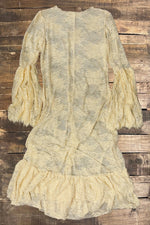 Load image into Gallery viewer, Garden Tea Lace Dress - Oatmeal
